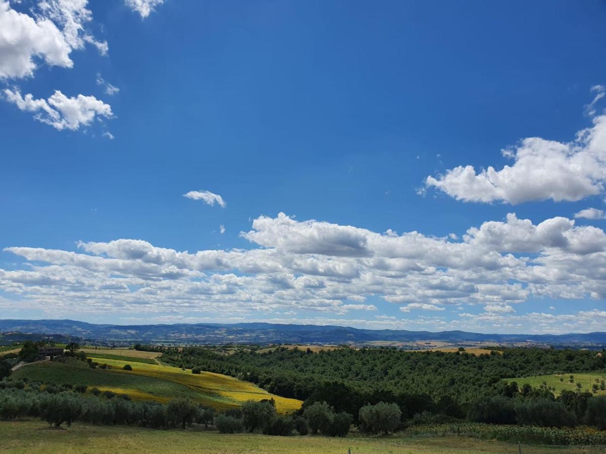 La Collina Bed & Breakfast Дерута Екстериор снимка
