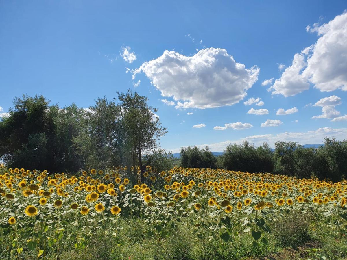 La Collina Bed & Breakfast Дерута Екстериор снимка