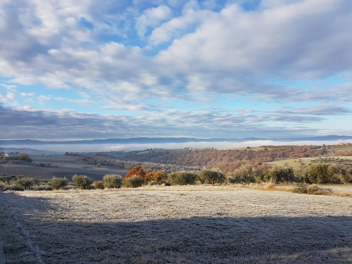 La Collina Bed & Breakfast Дерута Екстериор снимка