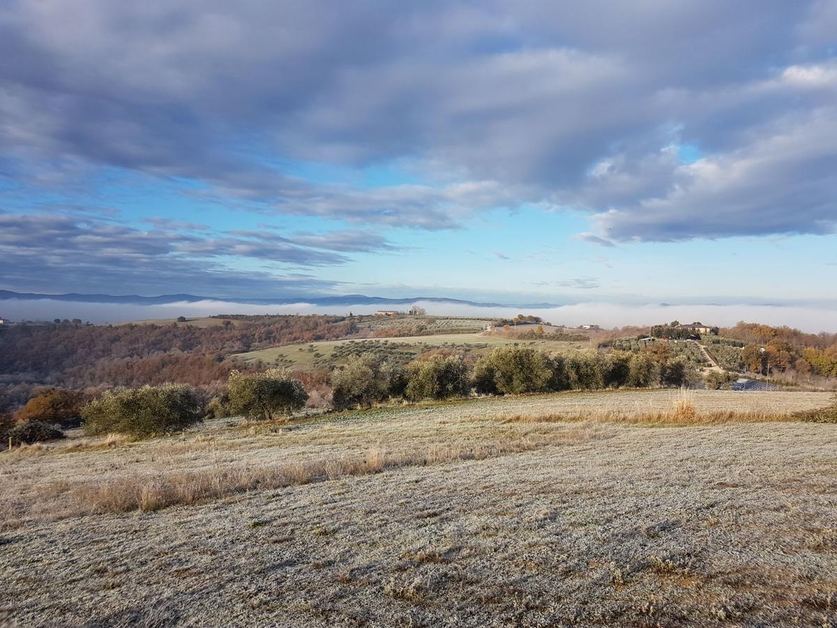 La Collina Bed & Breakfast Дерута Екстериор снимка